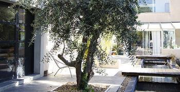 D'hôtes Ambrosia 3* Narbona